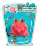 Toysmith Farm Fresh Soak & Grow