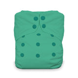 Thirsties Stay Dry Natural One Size All In One Diaper