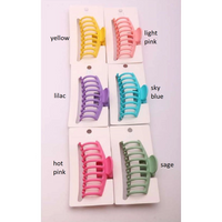 Solid Claw Hair Clip