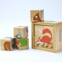 BeginAgain Buddy Blocks