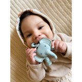 Itzy Ritzy Molar Teether