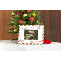 Pearhead 'Special Delivery' Sonogram Holiday Picture Frame