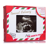 Pearhead 'Special Delivery' Sonogram Holiday Picture Frame