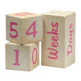 *FINAL SALE* Maple Landmark Portrait Prop Blocks