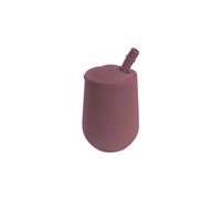 Ezpz Mini Cup and Straw Training System