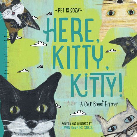 Pet Palooza: 'Here, Kitty, Kitty!' Board Book