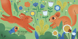 Squirrel Board Book