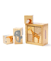 BeginAgain Buddy Blocks